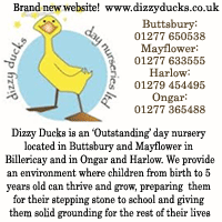 Dizzy Ducks