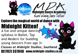 Midnight Kitten