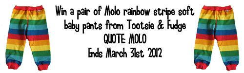 Molo Comp