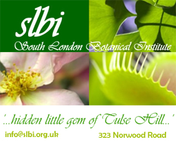 SLBI